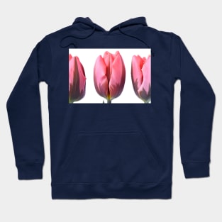 Tulipa &#39;Pretty Princess&#39; Triumph Group Tulip Hoodie